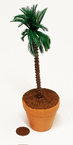 Dolls house large palm tree - house,