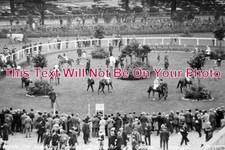 YO 8011 - Inside The Saddling Paddock, Doncaster Race Course, Yorkshire