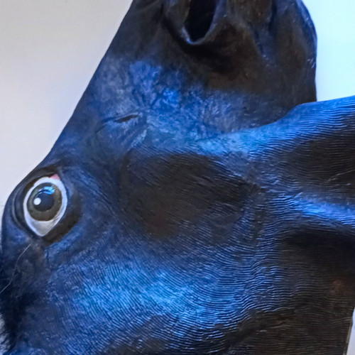 Black horse full mask - full, mask,