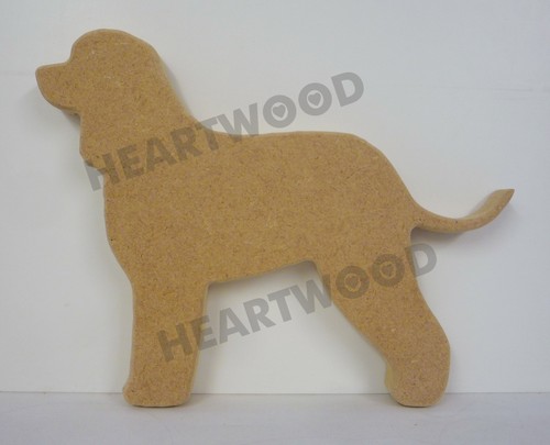 Irish water spaniel dog - water, shape