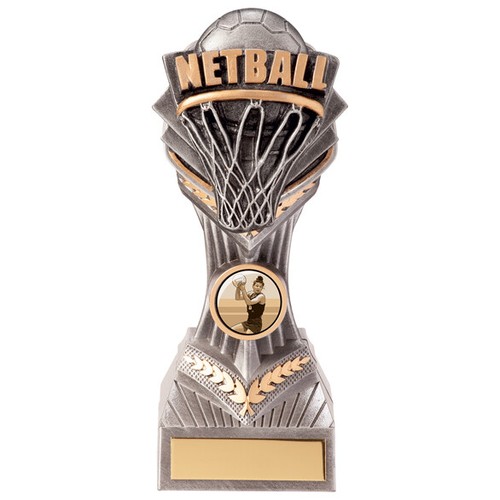 Netball award falcon hoop - award,