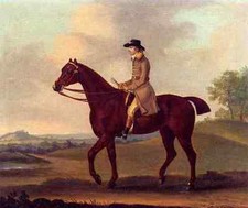 Sartorius Francis A Horseman