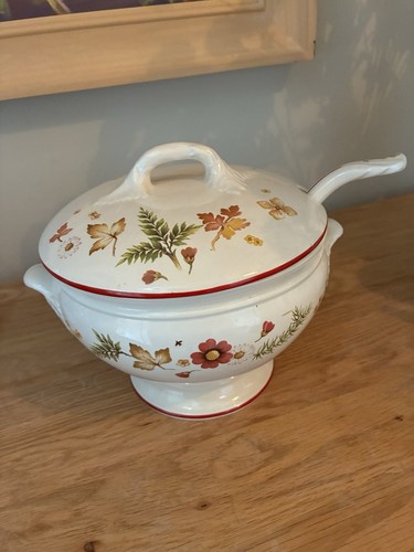 Royal winton lark rise soup - winton,