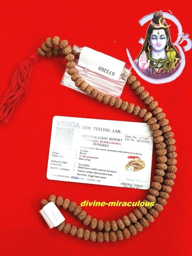 Most powerfull original 9mukhi - original,