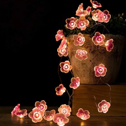 Cherry blossom lights - blossom, pink