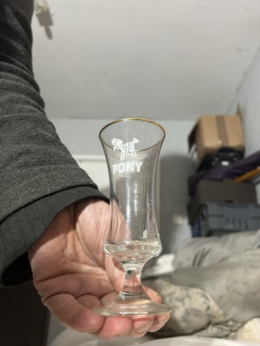 Pony drinking glass - pony,