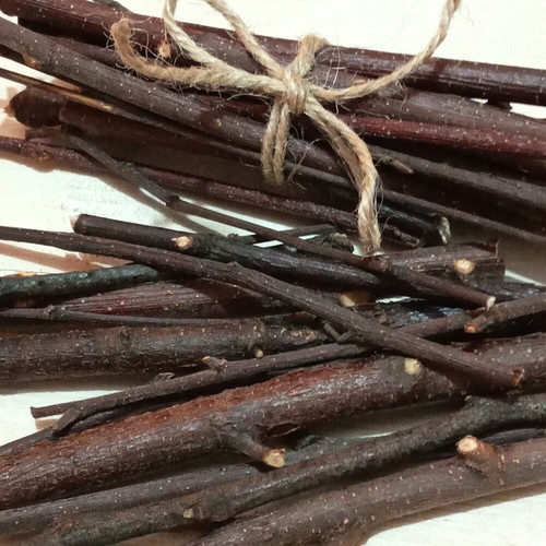 Organic silver birch sticks - silver,