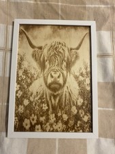 Original Engraved Highland Cow