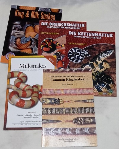 Kingsnakes milk snakes - kingsnakes,