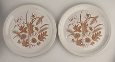 Barratts of Staffordshire Brown Poppies & Wheat, 10 inch Dinner Plate x 2