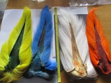 buck tail whole orange premium