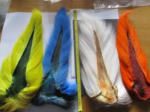 Buck tail whole - buck, premium
