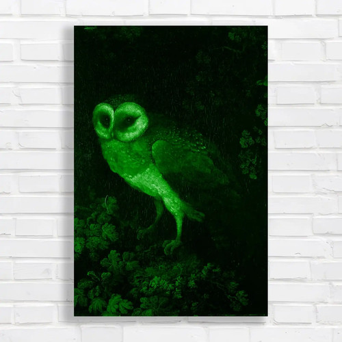 Midnight owl black and white - black,