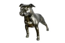 Staffordshire Bull Terrier