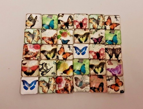 Butterfly glass tiles - butterfly,
