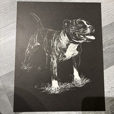 Vintage R. Russell Staffordshire Bull Terrier Black and White Print 1984