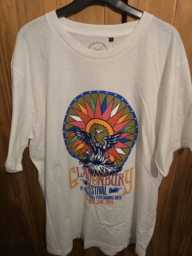 Glastonbury festival tshirt - glastonbury,