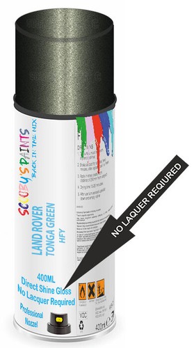 Aerosol spray paint direct - paint,