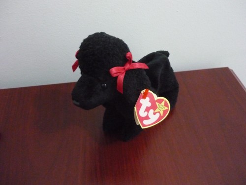 Beanie gigi the poodle - the, dog