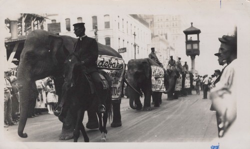 John robinson circus elephant - john,