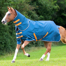 Shires Tempest Original Lite