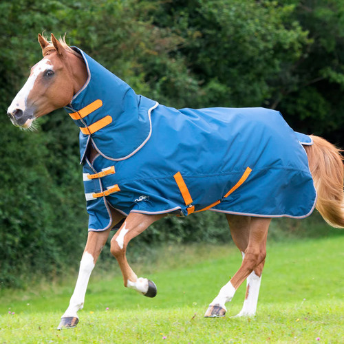 Shires tempest original lite - original,