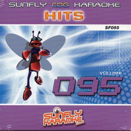Sunfly hits karaoke disc vol - hits,
