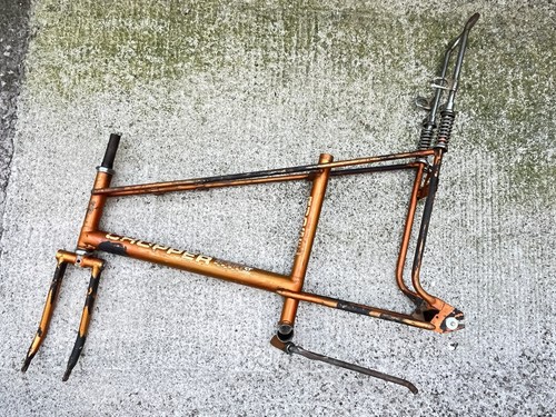 Rare south africa - rare, raleigh