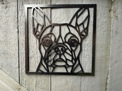 Frenchie french bull dog - frenchie,
