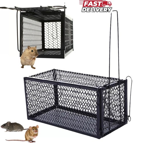 Rat trap mouse catcher - rat,