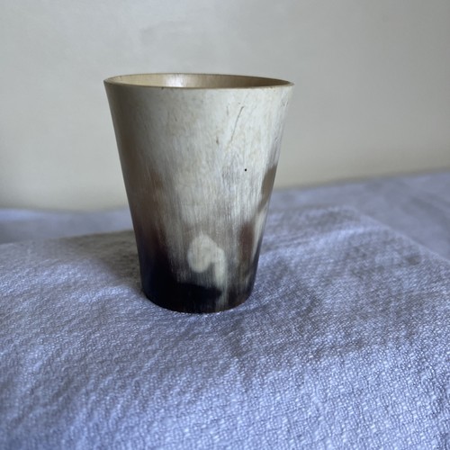 Vintage scottish horn - vintage,