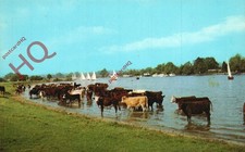 Picture postcard bourne end - picture,