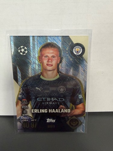 Erling haaland bab build a - erling,