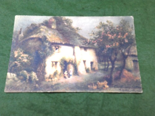 Stoke devon gardeners - devon,