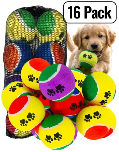 Pack pet tennis balls dog - pet,