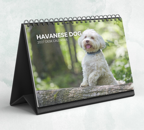 Havanese dog desk calendar - dog,