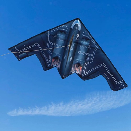 Airplane kite large for - airplane,