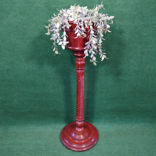 Barley twist mahogany plant - twist,