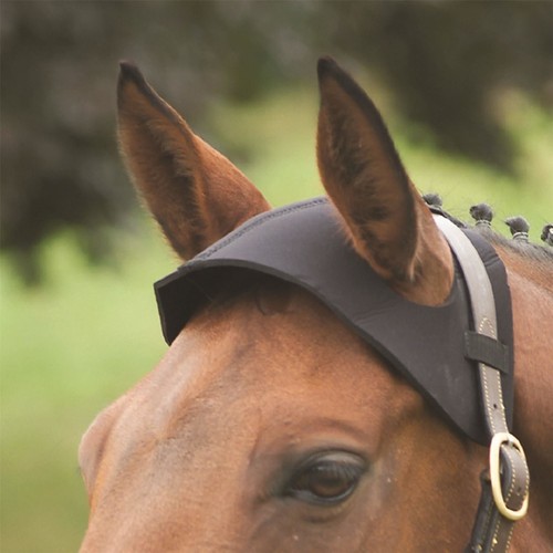 Poll guard black - black,