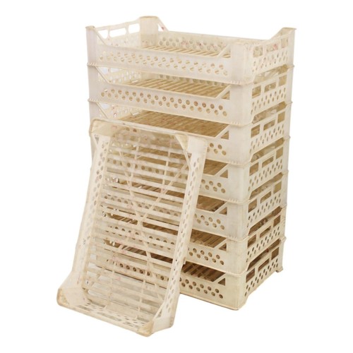 Used potato chitting trays - chitting, /