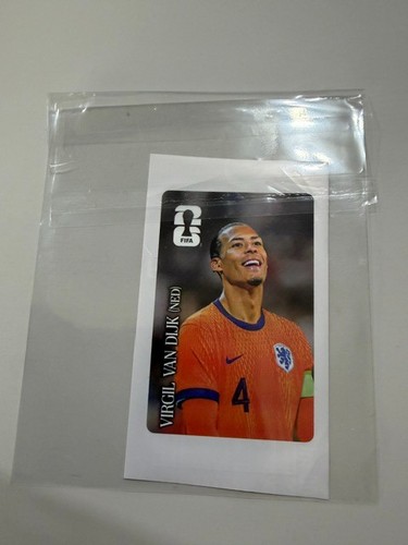 Virgil van dijk - dijk, panini