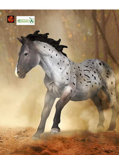 Nokota stallion blue roan - stallion,