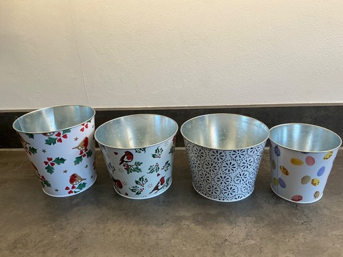 Emma bridgewater plant - 4,