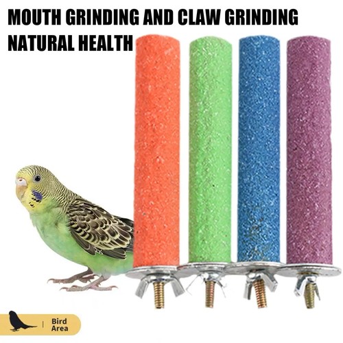 Bird perch beak claw - bird,