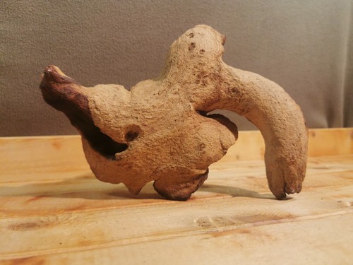 547g mopani wood - -, for