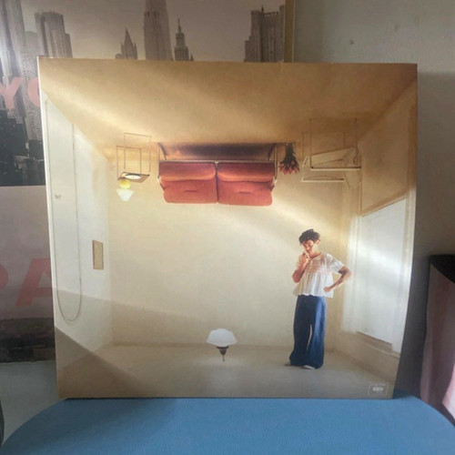Harry styles house - harry's, 12"