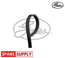 V-RIBBED BELTS FOR HONDA