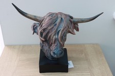 Stunning Highland Cow Head