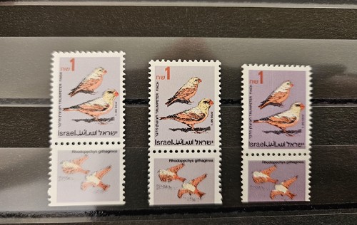Israel lot variety songbirds - israel,