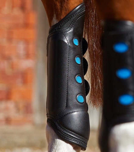 Premier equine air cooled - premier,